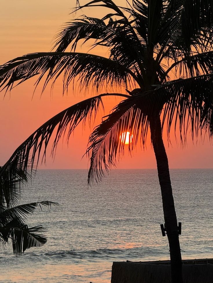 Palm tree silhouette against a Bali sunset over the ocean